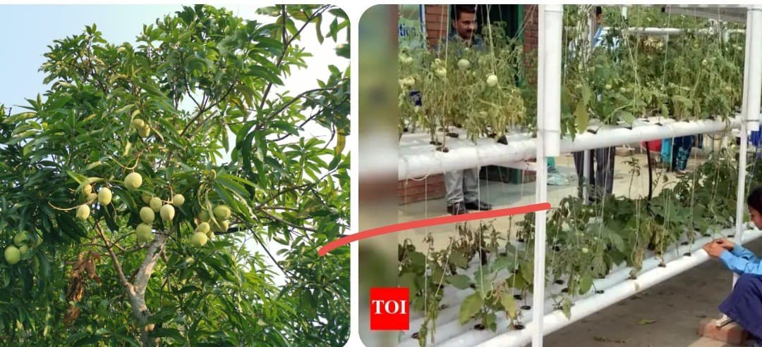 Agri-Education Projects<br />
