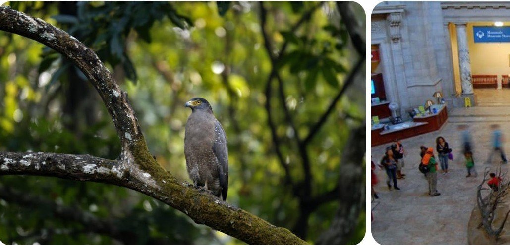 Environment and Biodiversity