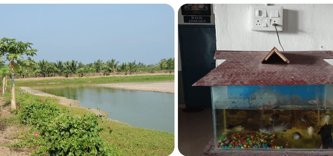 Fisheries and Marine Science